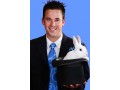 Détails : Un magicien pour enfants avec un gros lapin